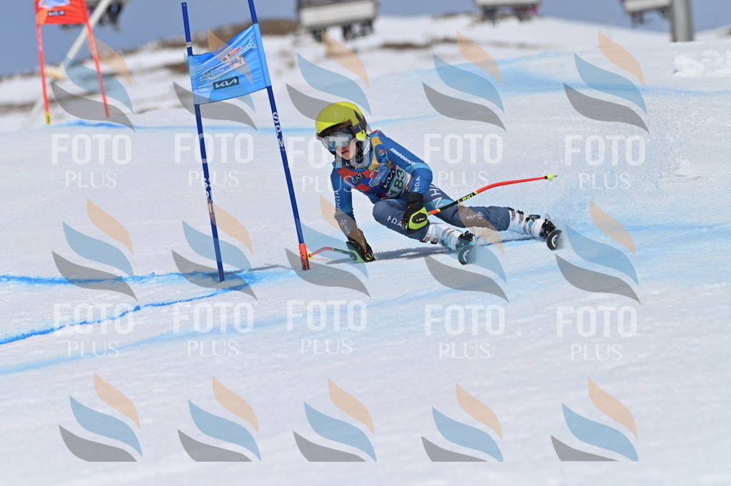 BGV_3584 | holidayphoto