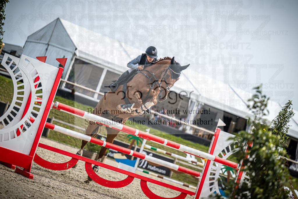 DOS_9634 | Entdecke hochwertige Reitturnierfotos von Foto Oger. Professionell, emotional und authentisch – jetzt Lieblingsmomente im Shop bestellen.Deutschlandweite Turnierfotografie. - Realisiert mit Pictrs.com