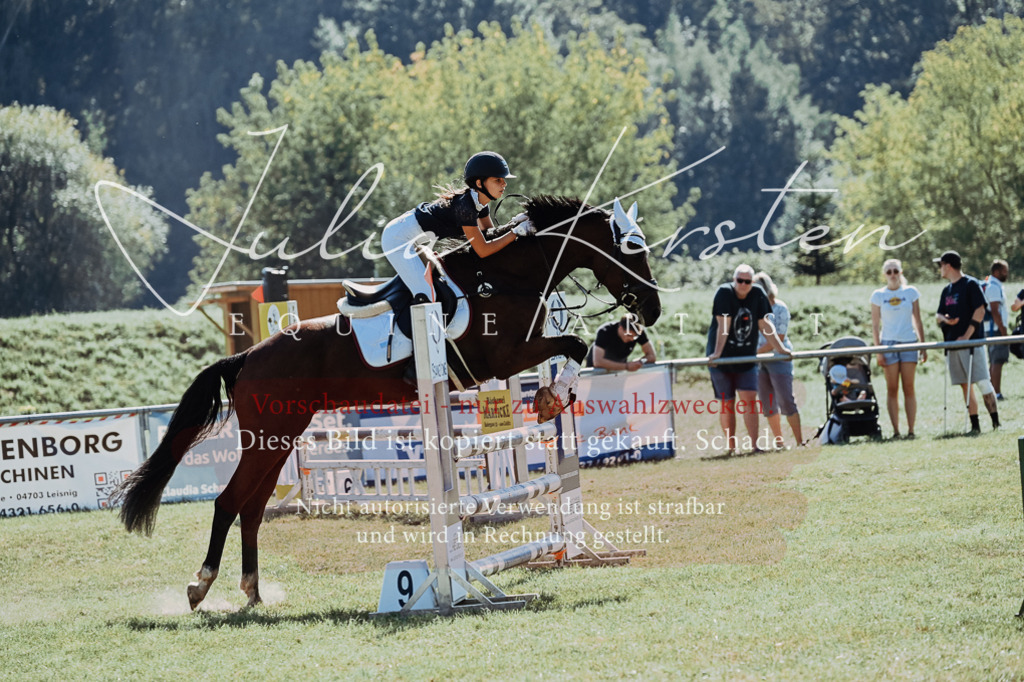 DSC_5862 | Pferde- und Turnierfotografie in Westsachsen. Pferdeportraits, Auftragszeichnungen und intuitive Kunst.