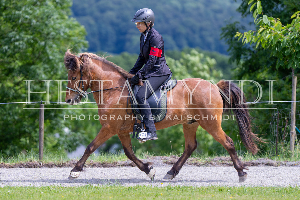 KAI02271 | Ihr sucht einen Fotografen für eure nächste OSI? Ich begleite auch euer Turnier für Islandpferde fotografisch.  - Realisiert mit Pictrs.com