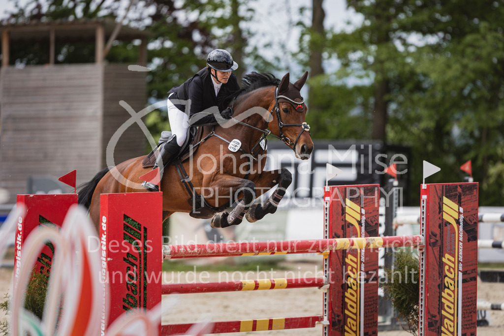 250504_SpengeW_M2-Spr-466 | Deine schönsten Turniermomente als professionelle Fotos! Entdecke hochwertige Pferdesport-Fotografie im Online-Shop. Jetzt Fotos finden & bestellen!