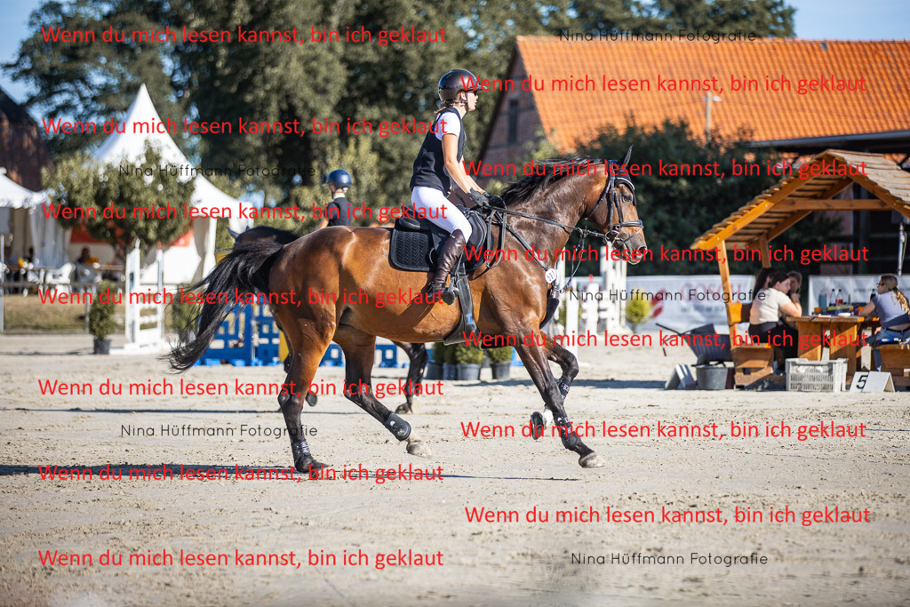 BK1A7427 | Turnierbilder Turnierfotos Nina Hüffmann Turnierfotografie Pferdefotografie Tierzeichnung Haustierzeichnung Pferdezeichnung Hundezeichnung Videograf  - Realisiert mit Pictrs.com