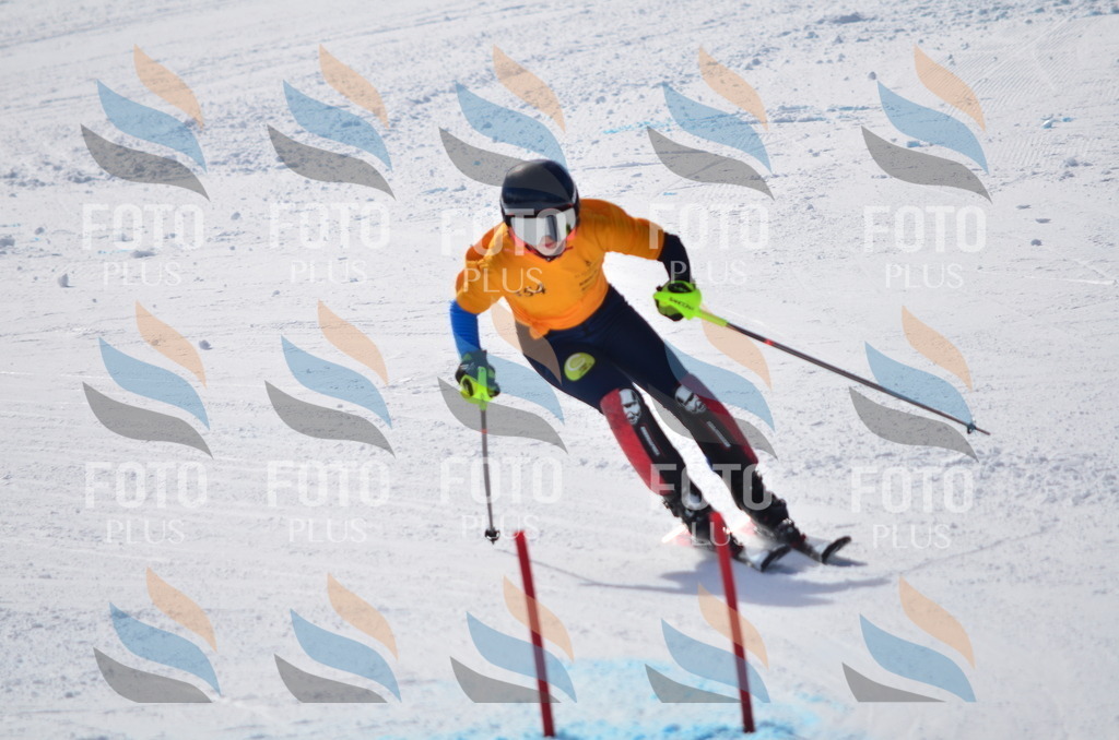 C9804 | holidayphoto