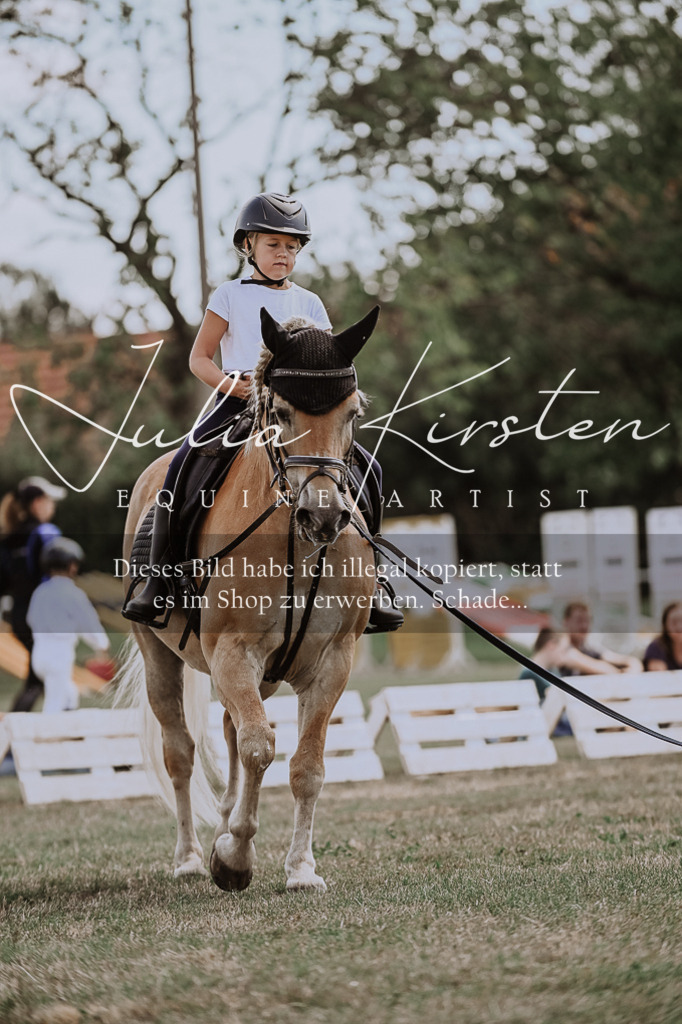 DSC_7709 | Pferde- und Turnierfotografie in Westsachsen. Pferdeportraits, Auftragszeichnungen und intuitive Kunst.