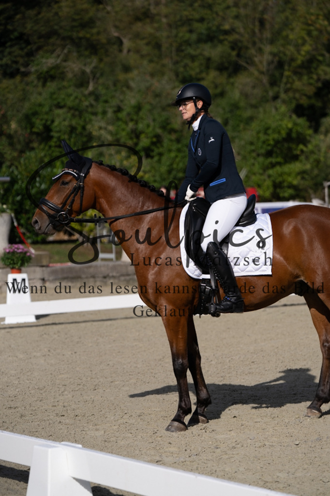 A7V06873 | Pferdefotograf