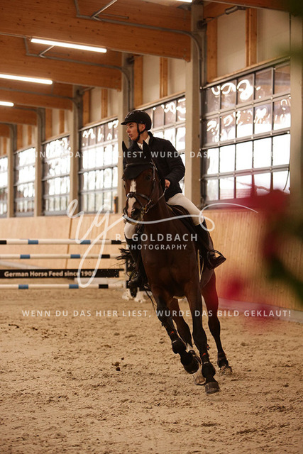 1J2A6479Karl Mattis Krummheuer_ Ascalino 3_ Kn016_ Glantz_ Hohen Wieschendorf | Foto- und Videografie für alles rund ums Pferd. Hochwertige Bilder und Videos vom Spring- und Dressurreiten, Voltigieren & mehr. Jetzt aktuelle Veranstaltungen und Preise im Shop ansehen. - Realisiert mit Pictrs.com