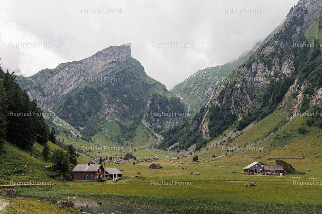 Berglandschaft beim Seealpsee | Erlebe eindrucksvolle Landschaftsfotografie aus dem Engadin und darüber hinaus. Raphael Fenner bietet zudem professionelle Fotoaufträge für Hochzeiten, Porträts und Unternehmen. Jetzt entdecken und inspirieren lassen!
