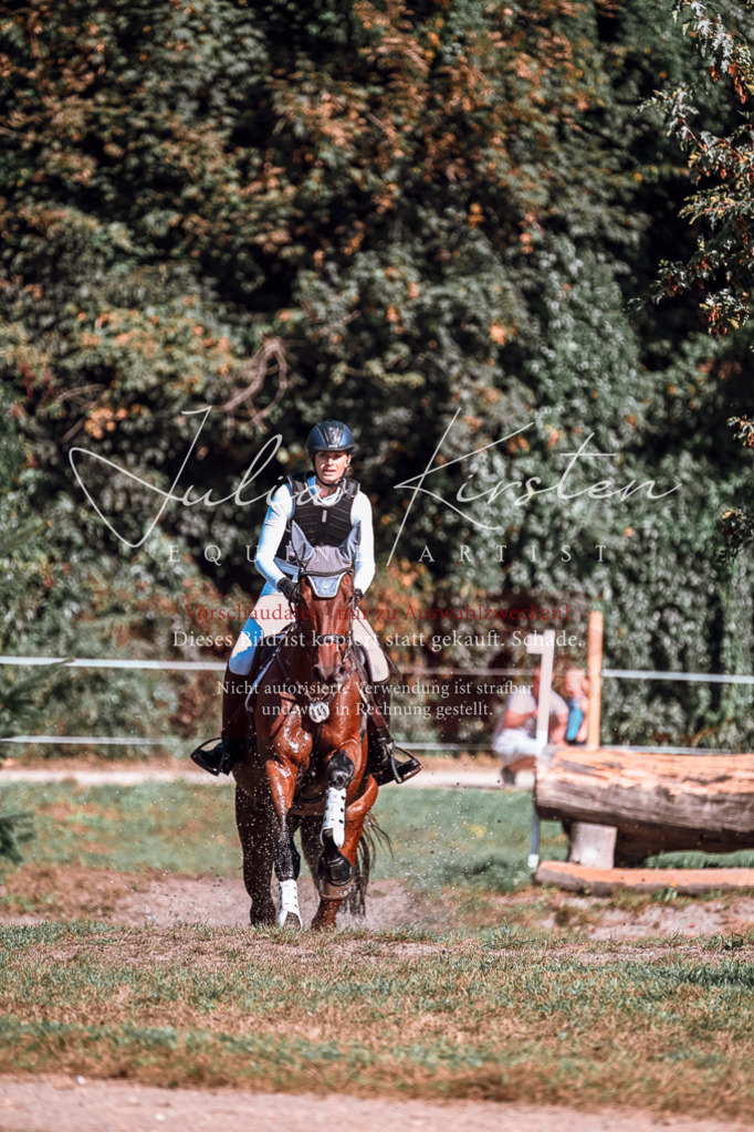 DSC_1095 | Pferde- und Turnierfotografie in Westsachsen. Pferdeportraits, Auftragszeichnungen und intuitive Kunst.