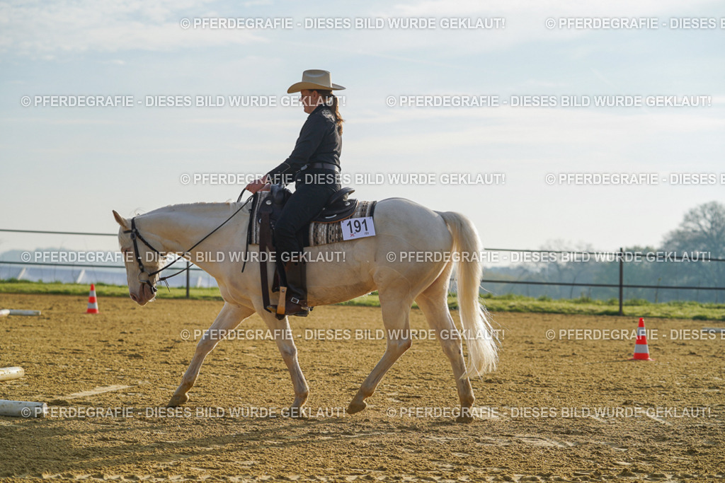 DSC00034 | Pferdegrafie