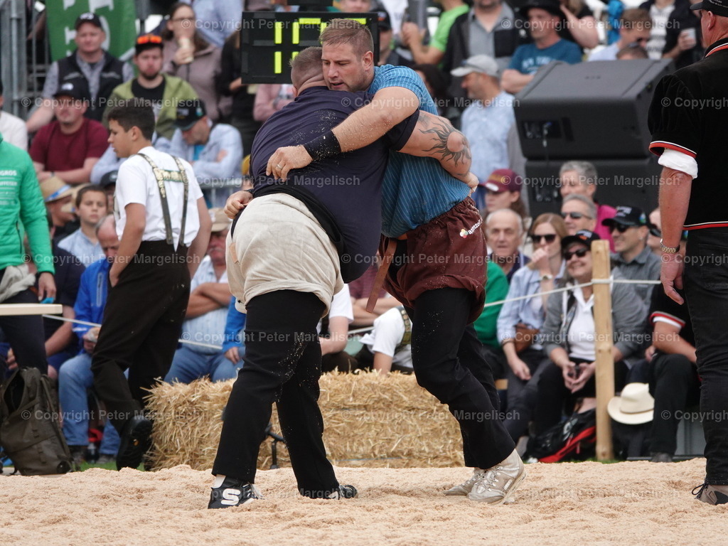 DSC08325 | Schwingen - Realisiert mit Pictrs.com