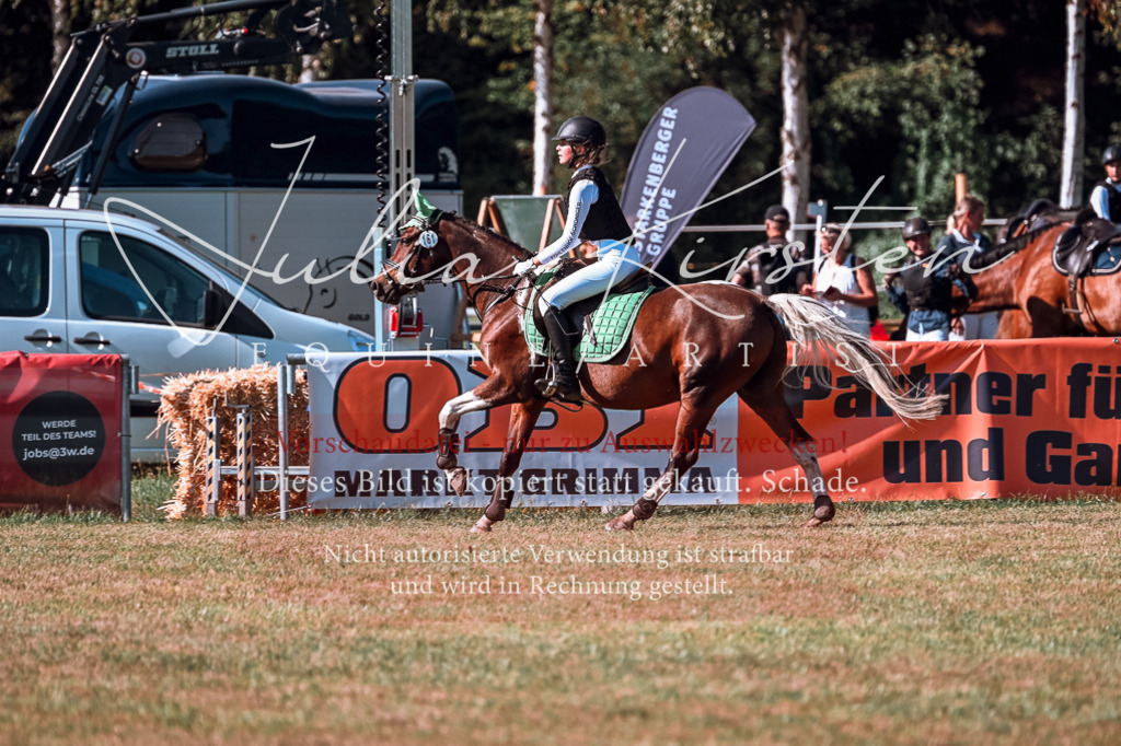 DSC_0833 | Pferde- und Turnierfotografie in Westsachsen. Pferdeportraits, Auftragszeichnungen und intuitive Kunst.