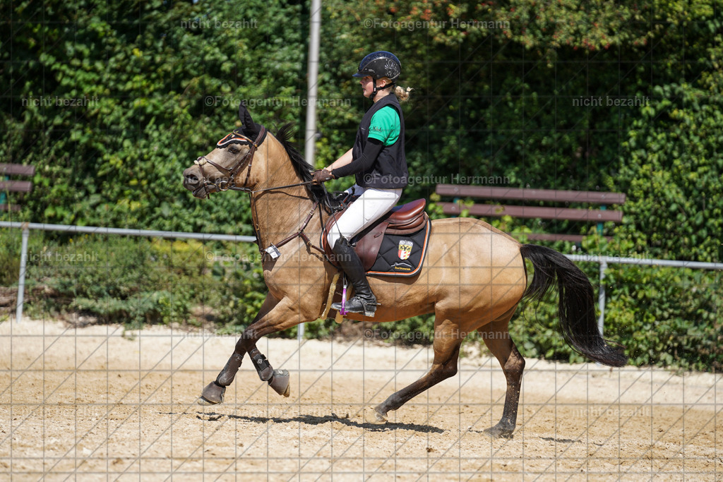 20240824-FAH08297 | Thierhaupten 2024, Bayerisches Landesponyturnier, Turnierbilder, Ponybilder, Turnierfotografen Bayern, Fotoagentur Herrmann