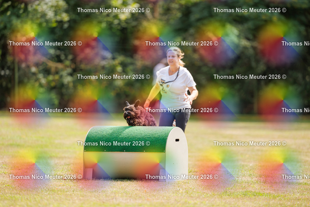 Thomas_Nico_Meuter(C)_22. August 2026_223A5310 | Bild von Thomas Nico Meuter - Realisiert mit Pictrs.com