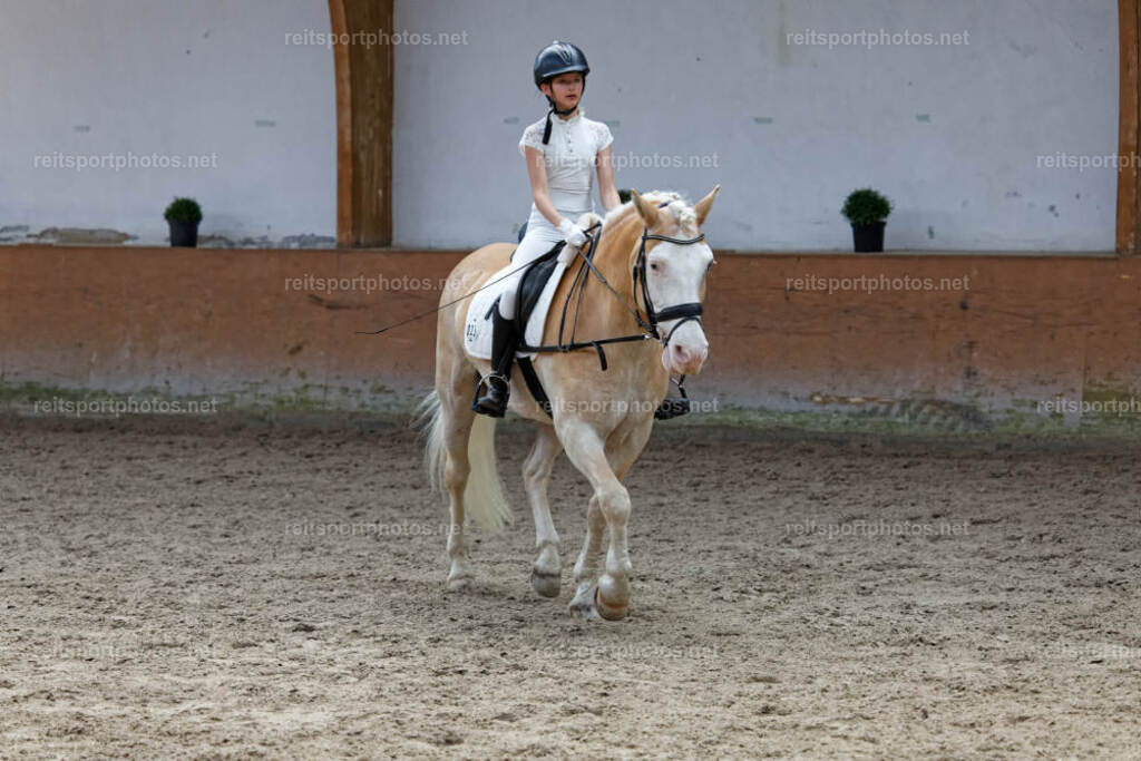 JHE33734 | JoYa Fotografie - Realisiert mit Pictrs.com
