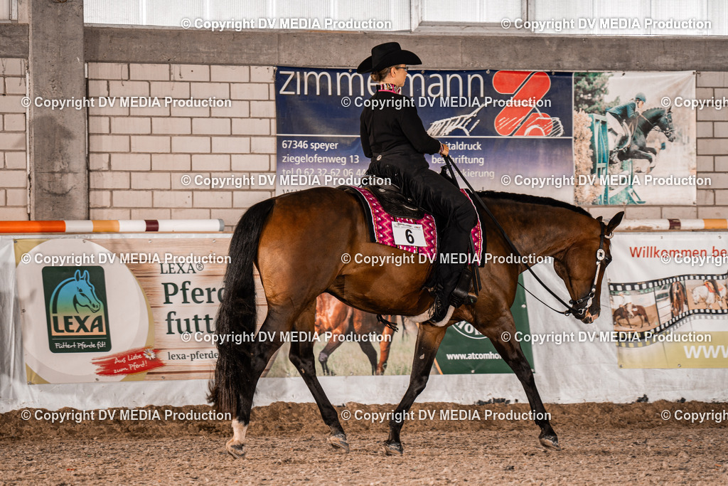 ZH300040 | dv-media-shop - Realisiert mit Pictrs.com