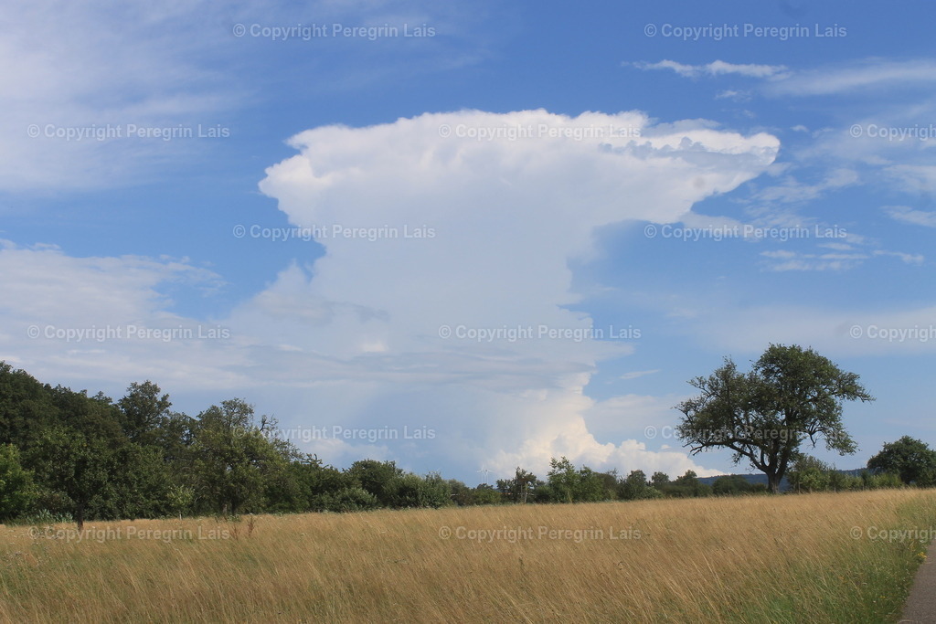 IMG_2749_1 | Fotografiert von Peregrin Lais. Bilder anschauen, 
Formate auswählen und bestellen. - Realisiert mit Pictrs.com