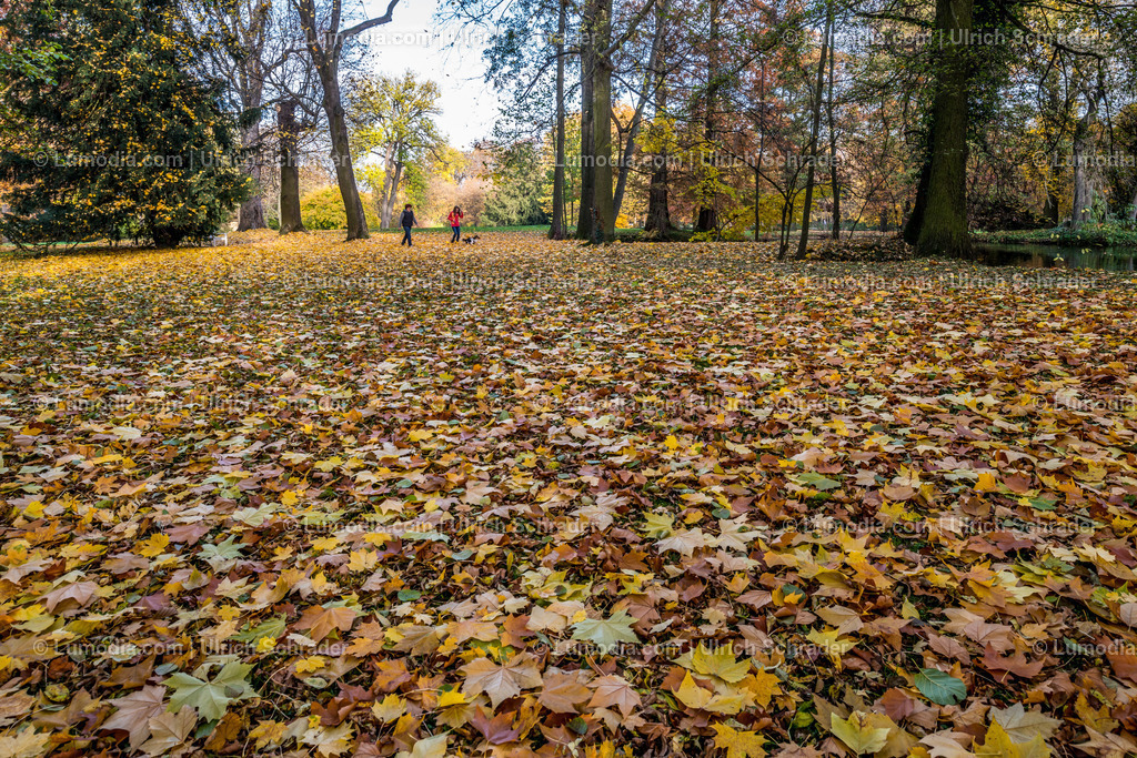 10049-4621 - Schloßpark Ballenstedt | Stockfoto und Bilderpool mit Bildmaterial aus Deutschland, dem Harz, Halberstadt, Quedlinburg, Wernigerode und weltweit. Qualitativ hochwertige und professionelle Fotos anschauen und kaufen. - Realisiert mit Pictrs.com