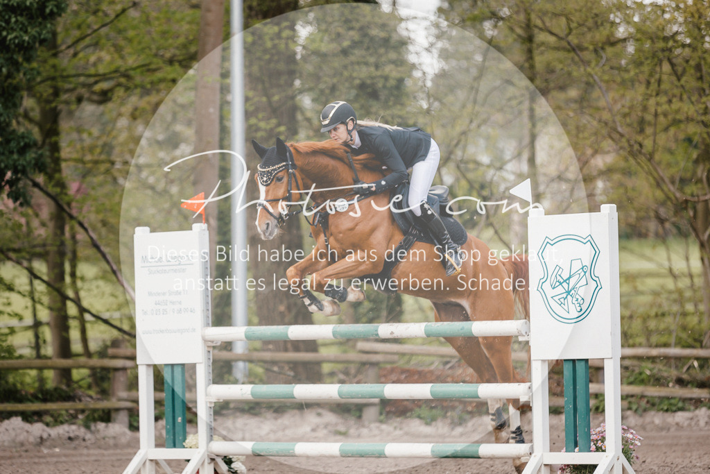 3I6A4351 | Stimmungsvolle Portraits und Reitsportfotografie im Ruhrgebiet und im Münsterland.

Pferdefotografie, Hundefotografie, Tierfotografie, Reportagen, Portraits von Tier und Mensch, Turnierfotografie in Bochum, Recklinghausen, Marl, Haltern am See, Dülmen.. - Realisiert mit Pictrs.com