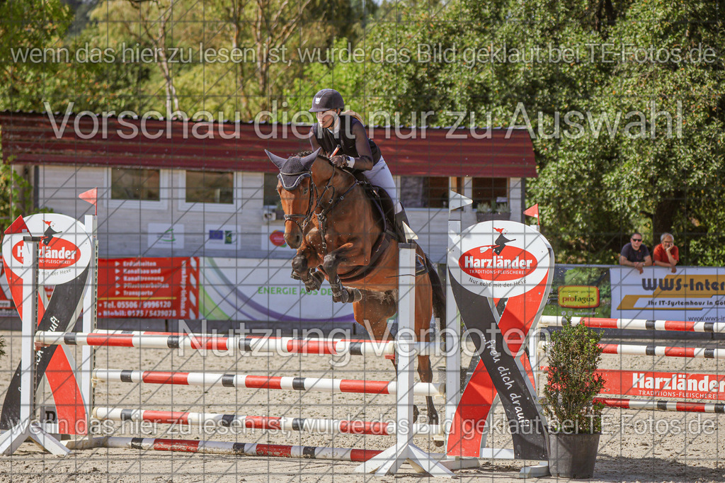 2025-09-21_02-29-42_MG_7091 | TE-Fotos