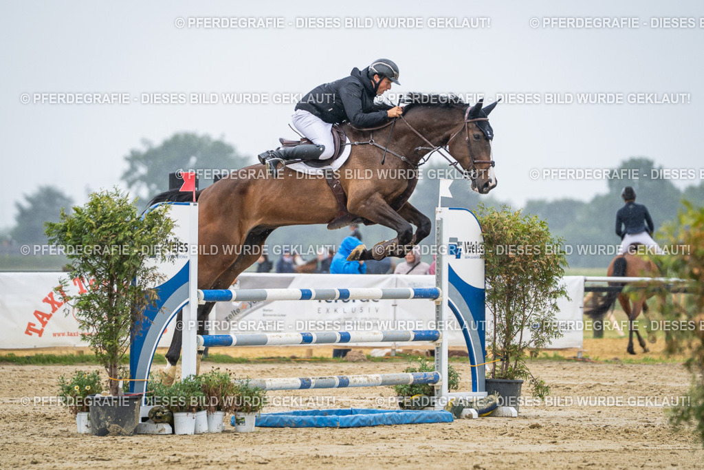 DSC02942 | Pferdegrafie