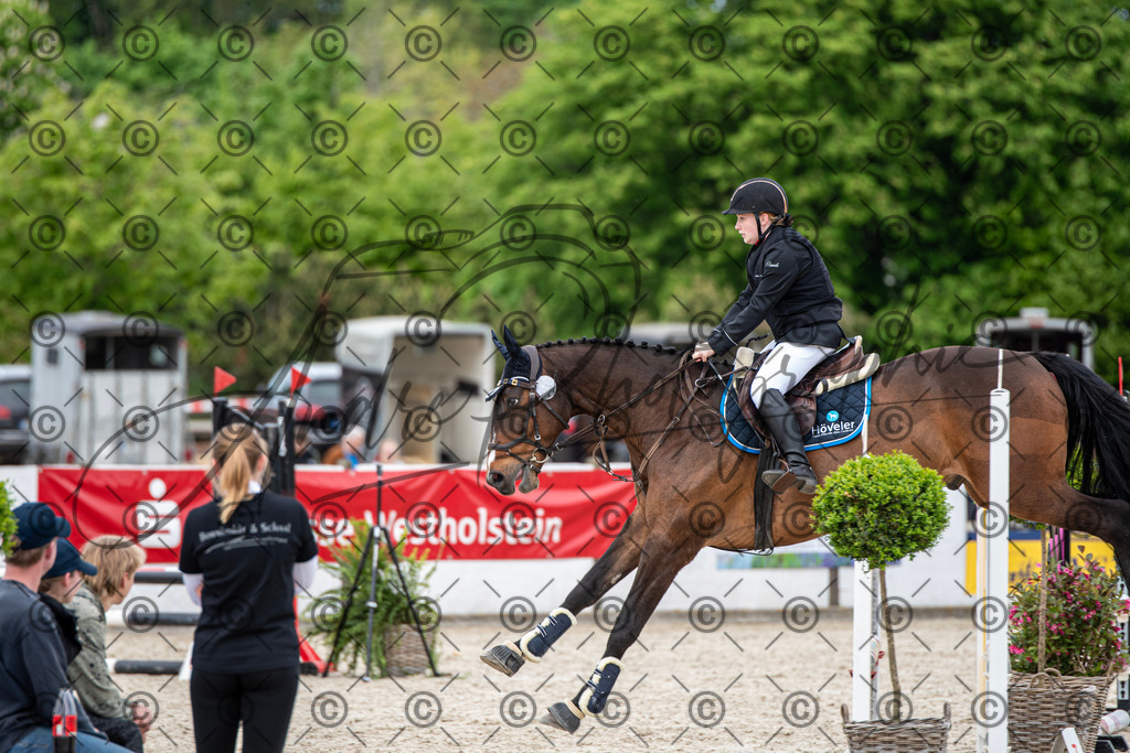 KPT_6158 | andre_photographic