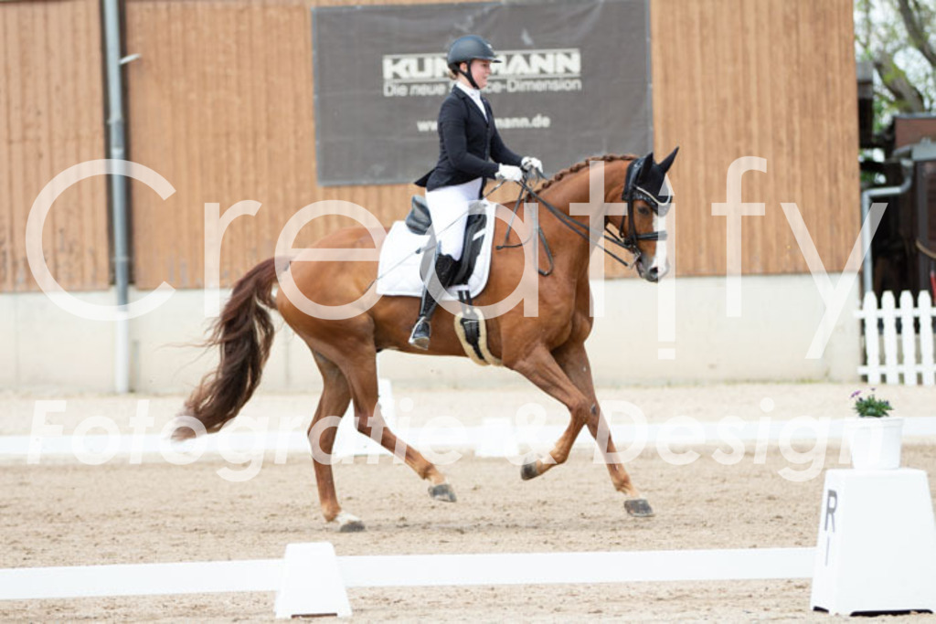 IMG_6216 | Creatify Fotografie