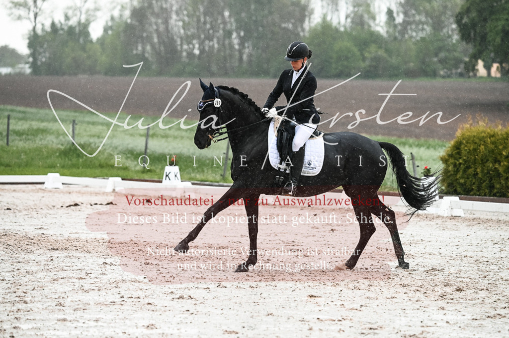 DSC_4742 | Pferde- und Turnierfotografie in Westsachsen. Pferdeportraits, Auftragszeichnungen und intuitive Kunst.