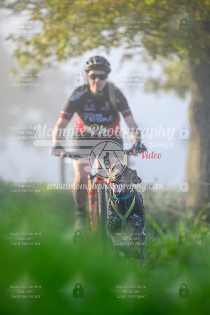MompixPhotography_20TSB_E3_Bike-37 | PayLife