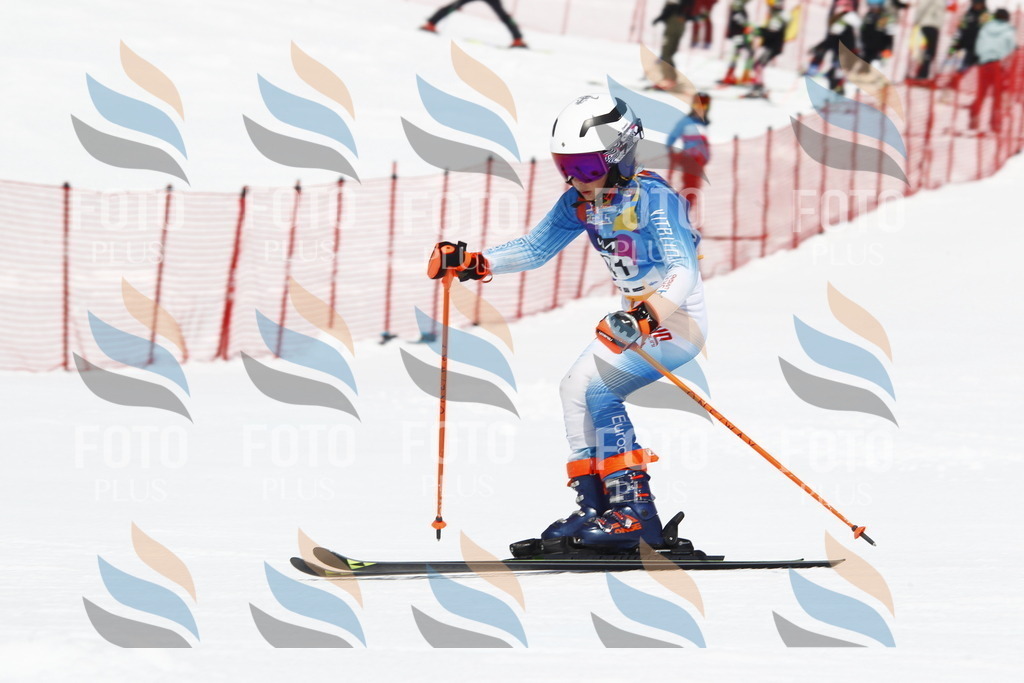 _U3G6127 | holidayphoto