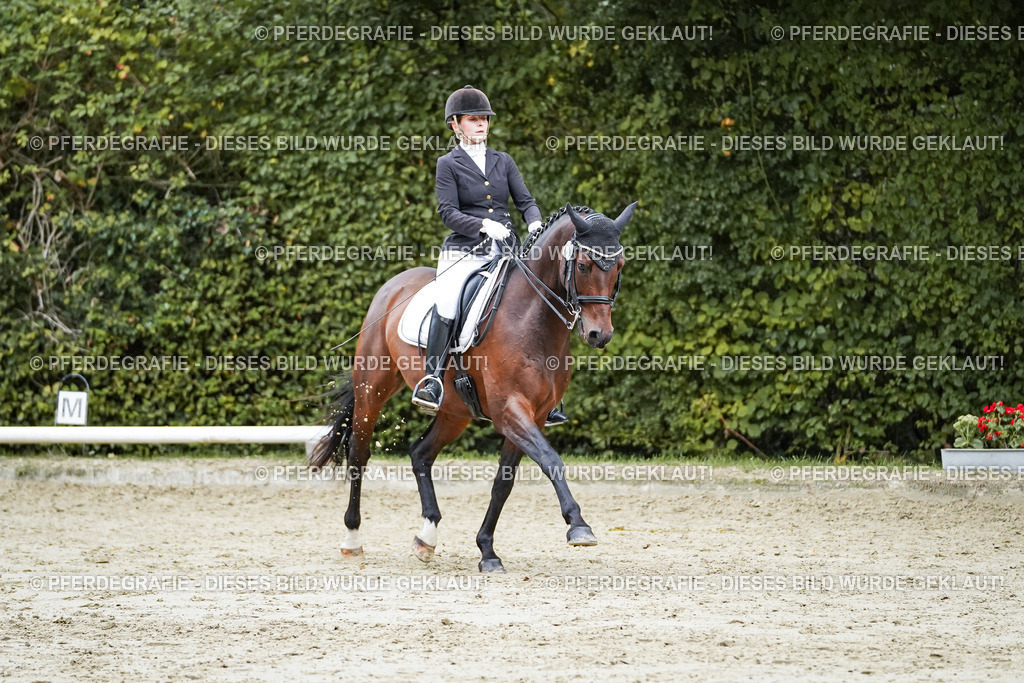 DSC00537 | Pferdegrafie