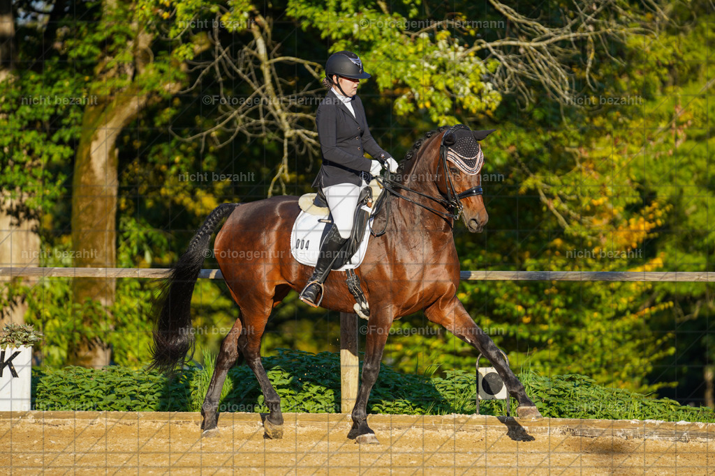 20221007-FAH00410 | Diessen am Ammersee, 2022, Dressur- und Springturnier, Reitsportbilder, Turnierfotografen Bayern, Pferdefotografen, Fotoagentur Herrmann, Turnierbilder