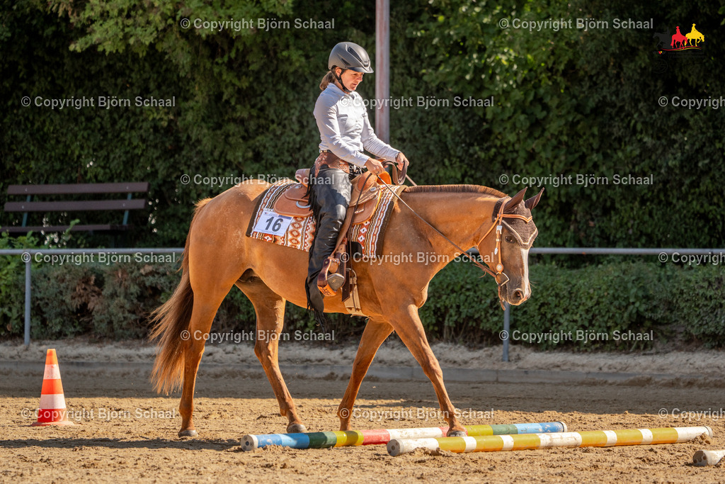 LMS04982 | BS-foto