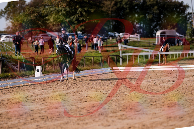 2026_10_03_Siefer-Hof_121552_Z81_17703911 | Professionelle Reitsport-, Turnier- und Eventfotografie von Robert Broda. Galerien mit ausgewählten und bearbeiteten Bildern direkt online ansehen und bestellen.