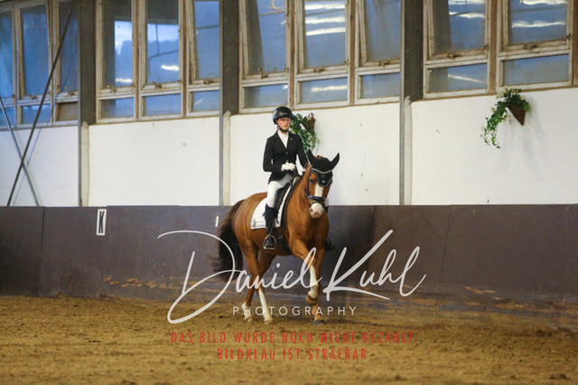 IMG_8280 | Turniersportfotografie; Pferdefotografie; Dressurfotografie