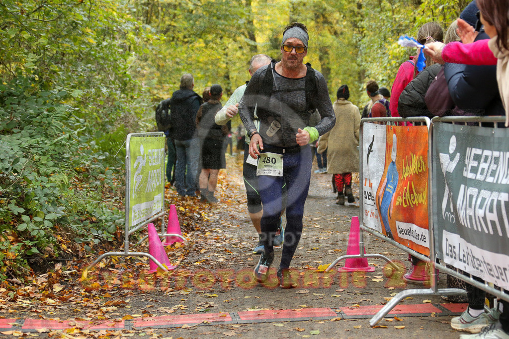 251026_1308_EX1_2596 | Sportfotografie im Rhein-Sieg Kreis, Köln, Bonn, NRW, Rheinland Pfalz, Hessen, etc. Unser Tätigkeitsfeld umfasst den Laufsport vom Volkslauf über den Marathon, Duathlon, Triathon bis zum Ultralauf wie Kölnpfad Ultra oder Schindertrail.