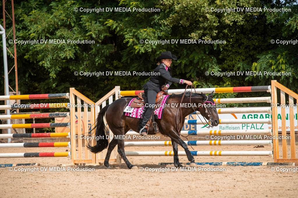 EWP_5856 | dv-media-shop - Realisiert mit Pictrs.com