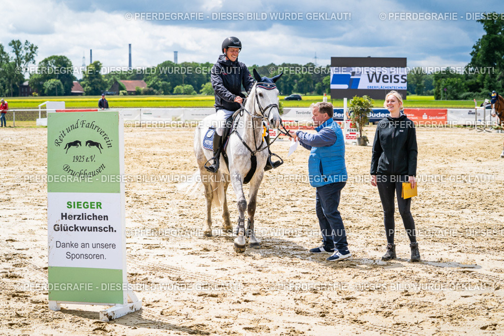 DSC05075 | Pferdegrafie