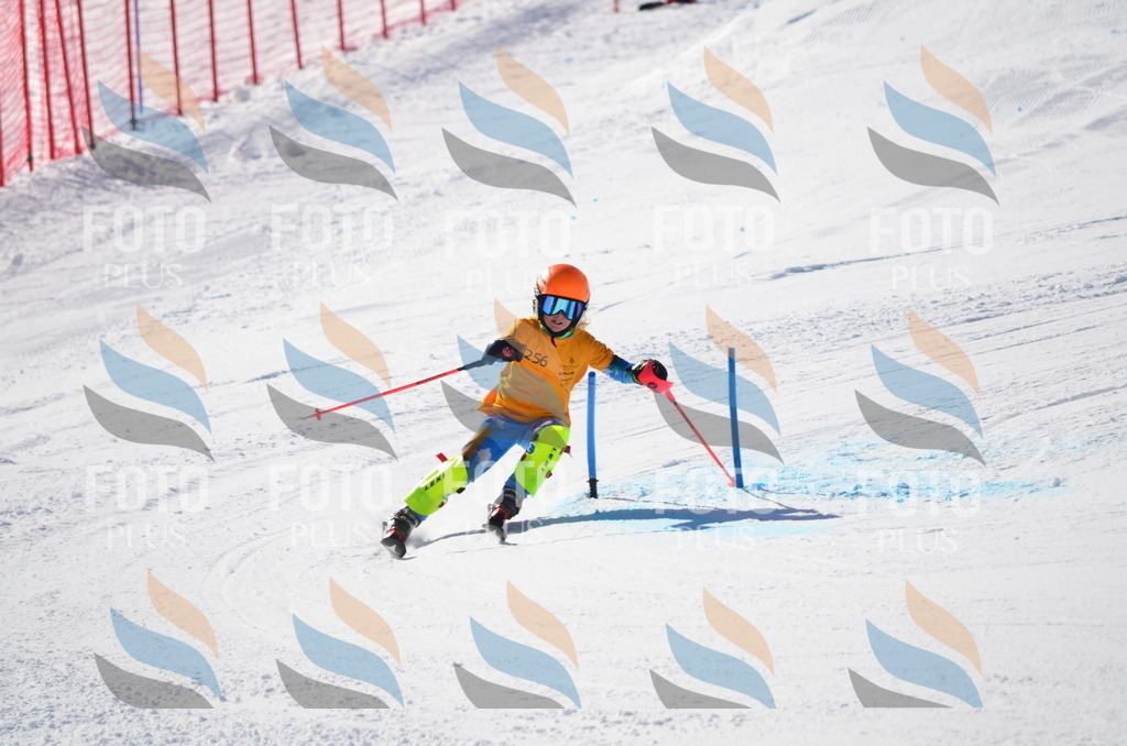 C8474 | holidayphoto