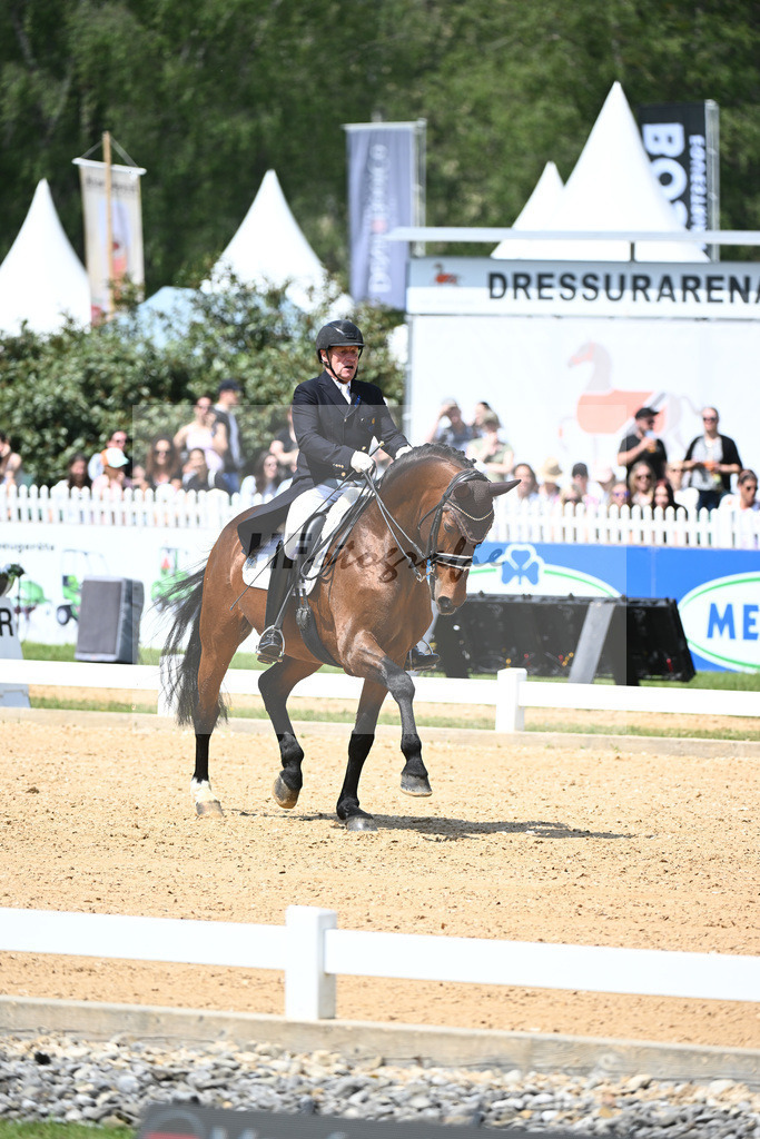 Eichhorn_Valentino_12243770 | hf-fotografie - Realisiert mit Pictrs.com