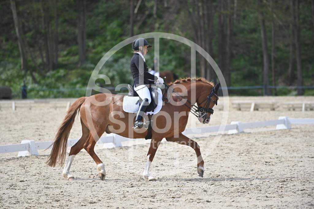 DSC_4609 | sattelsport - Realisiert mit Pictrs.com