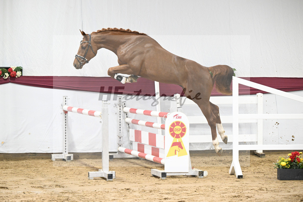 Kat-Nr. 82 Orient Express ES x Dibadu L_Markus Denzel_47252617 | hf-fotografie - Realisiert mit Pictrs.com