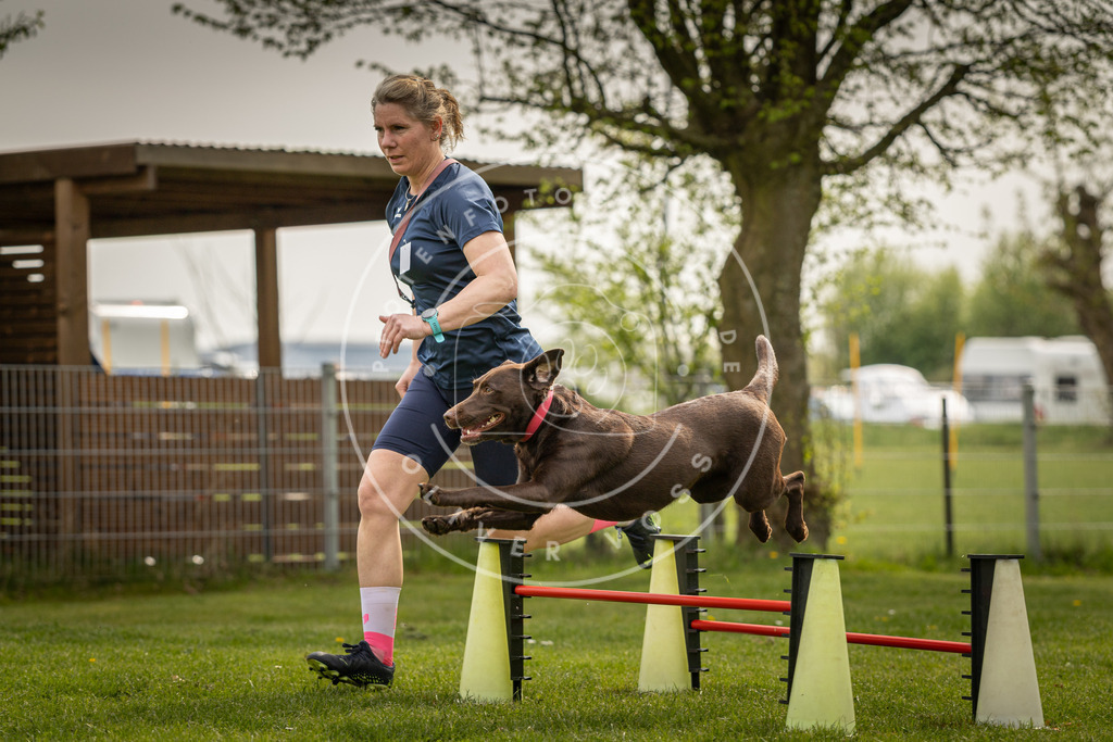Pfotenfotografie_DV3A6730 | Hundefotografie, Tierfotograf, Pfotenfotografie, Fotoshooting Hund, Hunde Portrait, Hundesport, Hundeportraits, Heideshooting, Hunde, Sportfotograf, Hundefotograf, Turnierhundsport, THS,  - Realisiert mit Pictrs.com