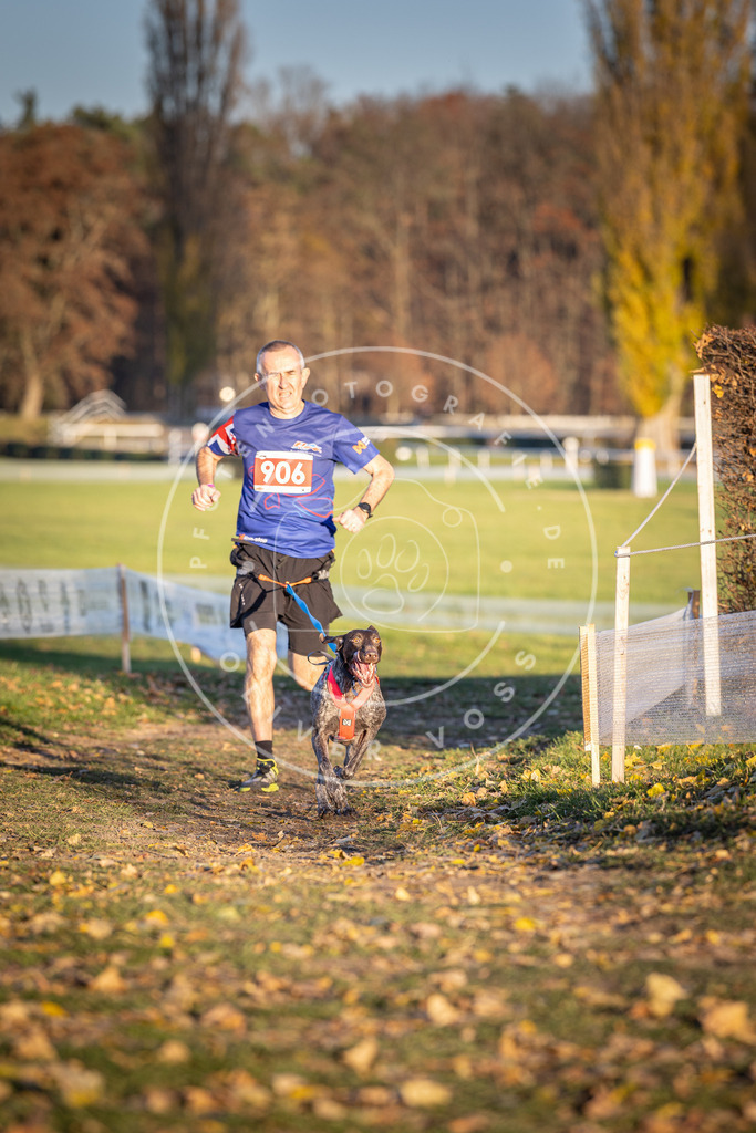 CaniXpix_DV3A4708 | Hundefotografie, Tierfotograf, Pfotenfotografie, Fotoshooting Hund, Hunde Portrait, Hundesport, Hundeportraits, Heideshooting, Hunde, Sportfotograf, Hundefotograf, Turnierhundsport, THS,  - Realisiert mit Pictrs.com