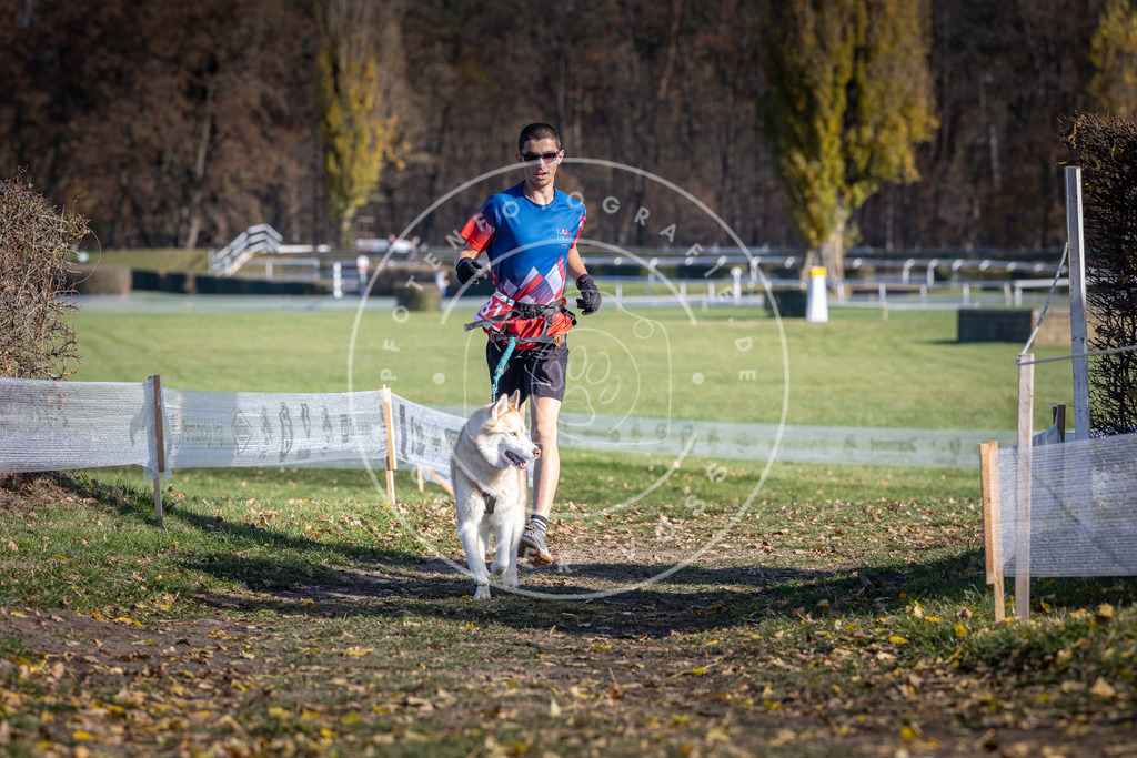CaniXpix_DV3A9091 | Hundefotografie, Tierfotograf, Pfotenfotografie, Fotoshooting Hund, Hunde Portrait, Hundesport, Hundeportraits, Heideshooting, Hunde, Sportfotograf, Hundefotograf, Turnierhundsport, THS,  - Realisiert mit Pictrs.com
