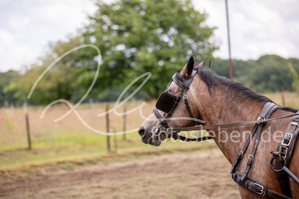 846A0624 | fotosleben - Realisiert mit Pictrs.com