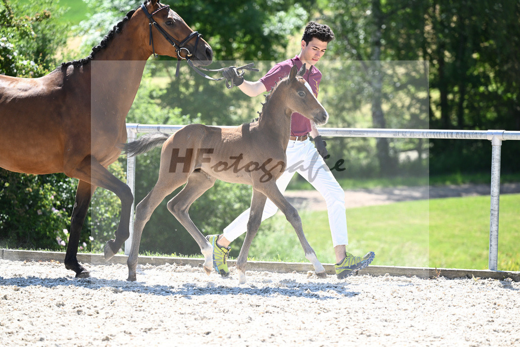Kat-Nr. 26 HF Vingino_Ruhland_16230335 | hf-fotografie - Realisiert mit Pictrs.com