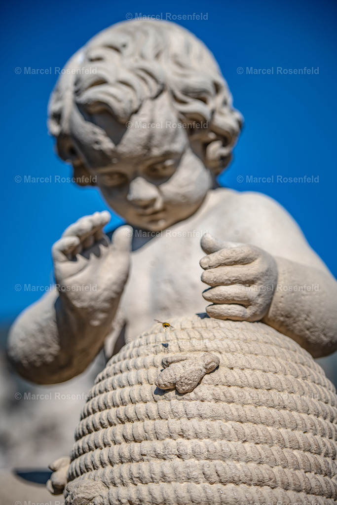 _DSC1607 | foto-rosenfeld