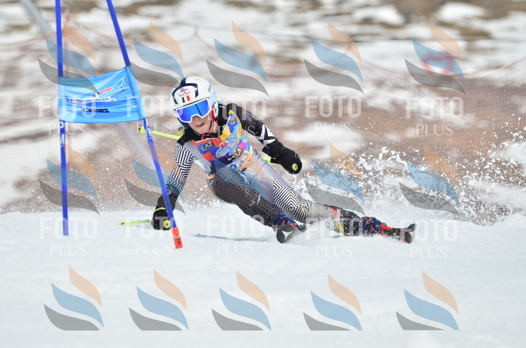 _ELE2586 | holidayphoto