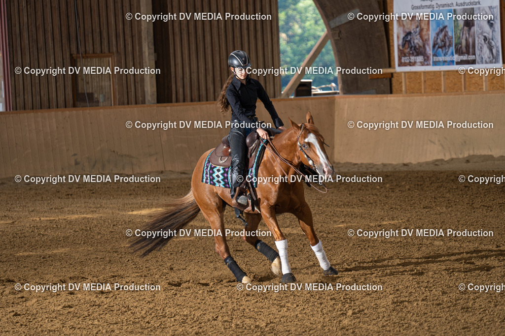 DSC00017 | dv-media-shop - Realisiert mit Pictrs.com