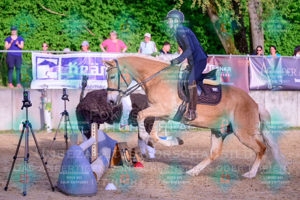 02052026-Giesenbach-03-Speedtrail-1021 | Fokus Hufschlag Fotografie - Realisiert mit Pictrs.com